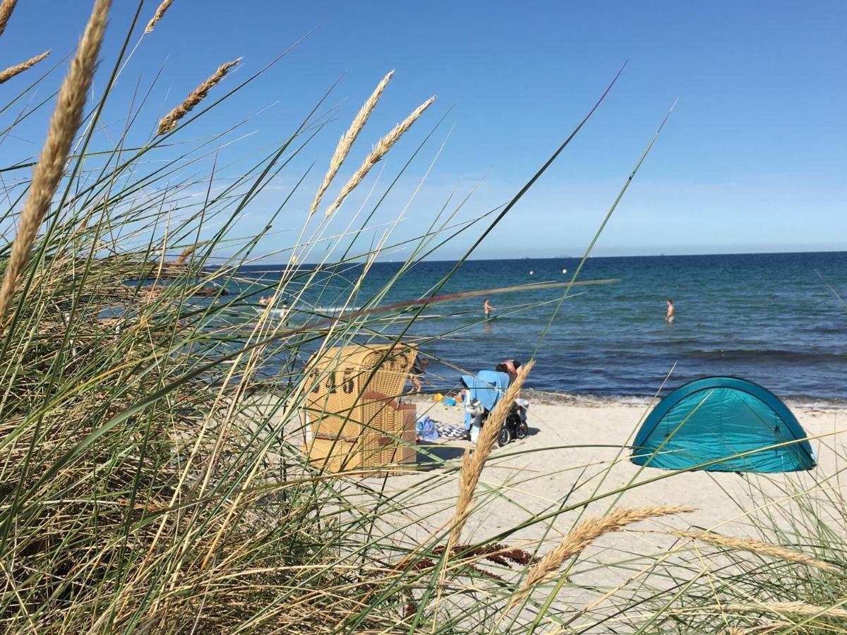 שונברגר שטרנד Ostsee-Entspannung, Fewo Direkt Am Meer מראה חיצוני תמונה